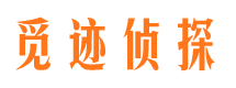 广宗市调查公司